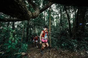 BIB: 
                            <button type="button" onclick="openModal(25390941)" class="btn btn-primary btn-sm float-right btn-popup" data-toggle="modal" data-target=".modal-high-quality">
                        <i class="fas fa-shopping-cart"></i> Add to Cart
                    </button>
                                            <button type="button" onclick="isThisMe(25390941, true)" class="btn btn-success btn-sm float-right btn-popup btn-isme hidden" data-toggle="tooltip" data-placement="bottom" title="นี่คือรูปของคุณใช่ไหม คลิกที่นี่เพื่อเอาเข้าอัลบั้ม">
                        <i class="fas fa-plus"></i> Add to album
                    </button>
                    <button type="button" onclick="isThisMe(25390941, false)" class="btn btn-warning btn-sm float-right btn-popup btn-isnotme hidden">
                        <i class="fas fa-ban"></i> Remove from album
                    </button>